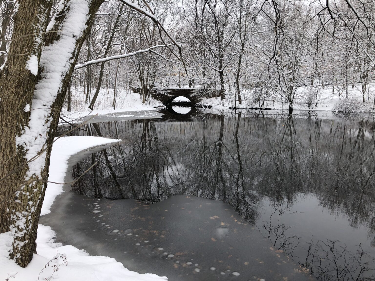 Emerald Necklace Olmsted Network