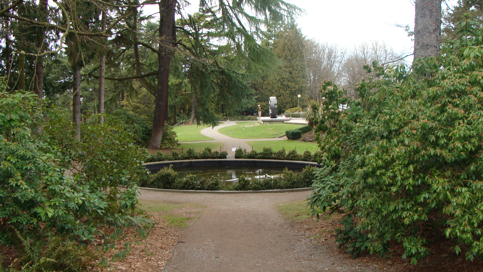 Lily Ponds in Volunteer Park. Courtesy of Volunteer Park Trust