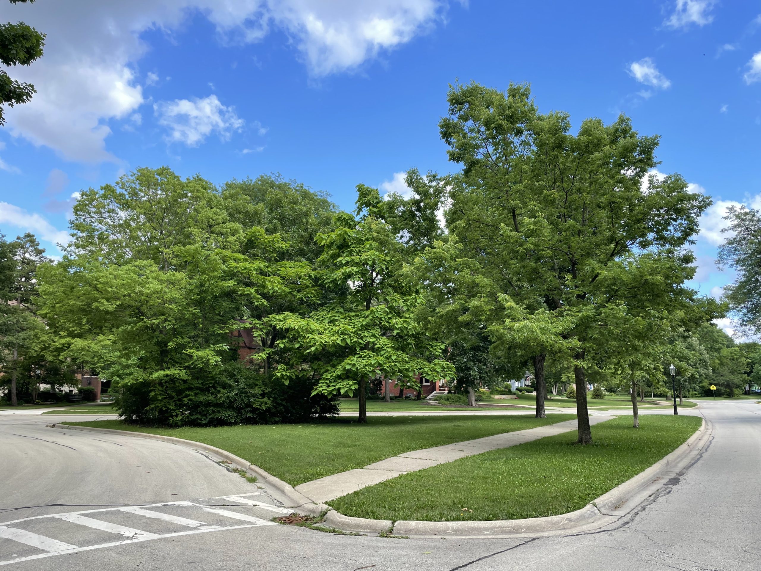 Photo of small, triangle-shaped park framed on all sides by empty streets. The park has grass, a sidewalk, and several green leafy trees.