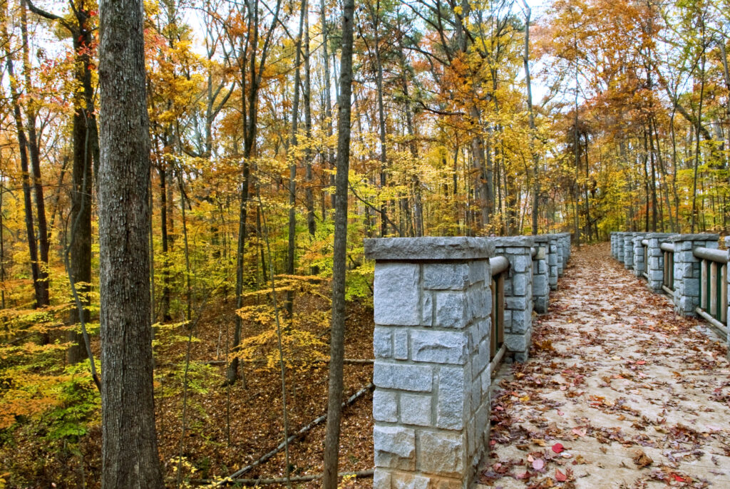 A Path Forward: Finding a Solution to Stormwater Runoff