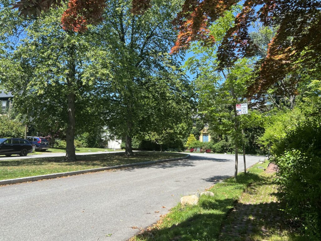 Spotlight on…Gray Gardens