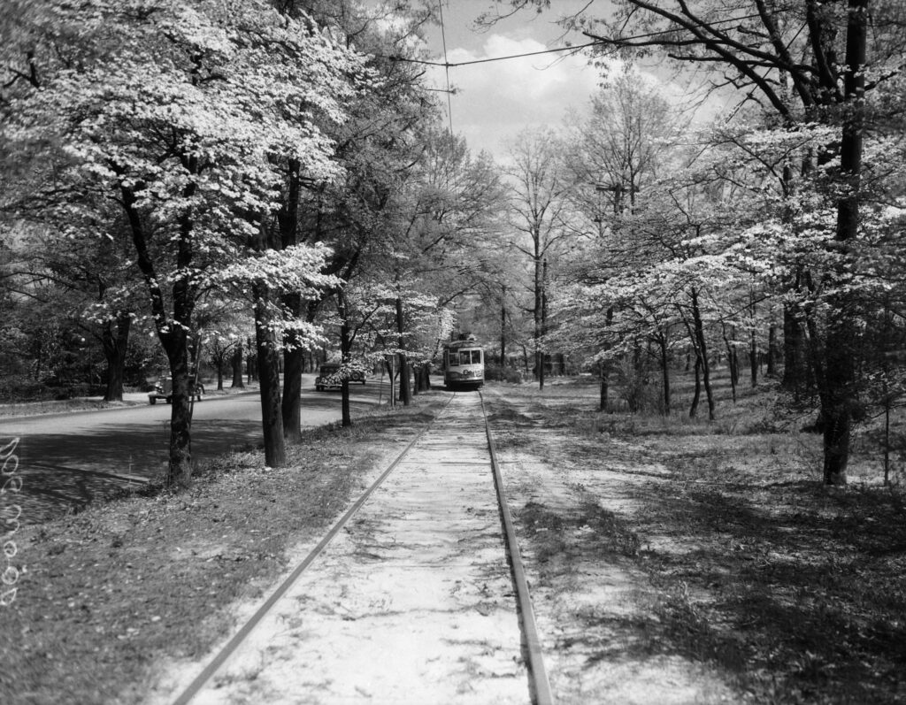 Spotlight on… Druid Hills and Olmsted Linear Park