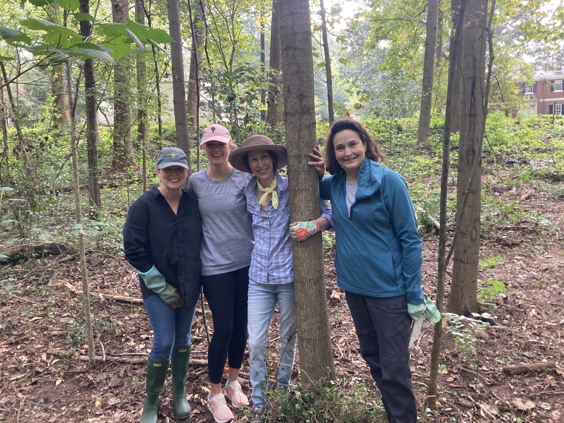 Weed Wrangle in Deepdene Forest - Olmsted Network