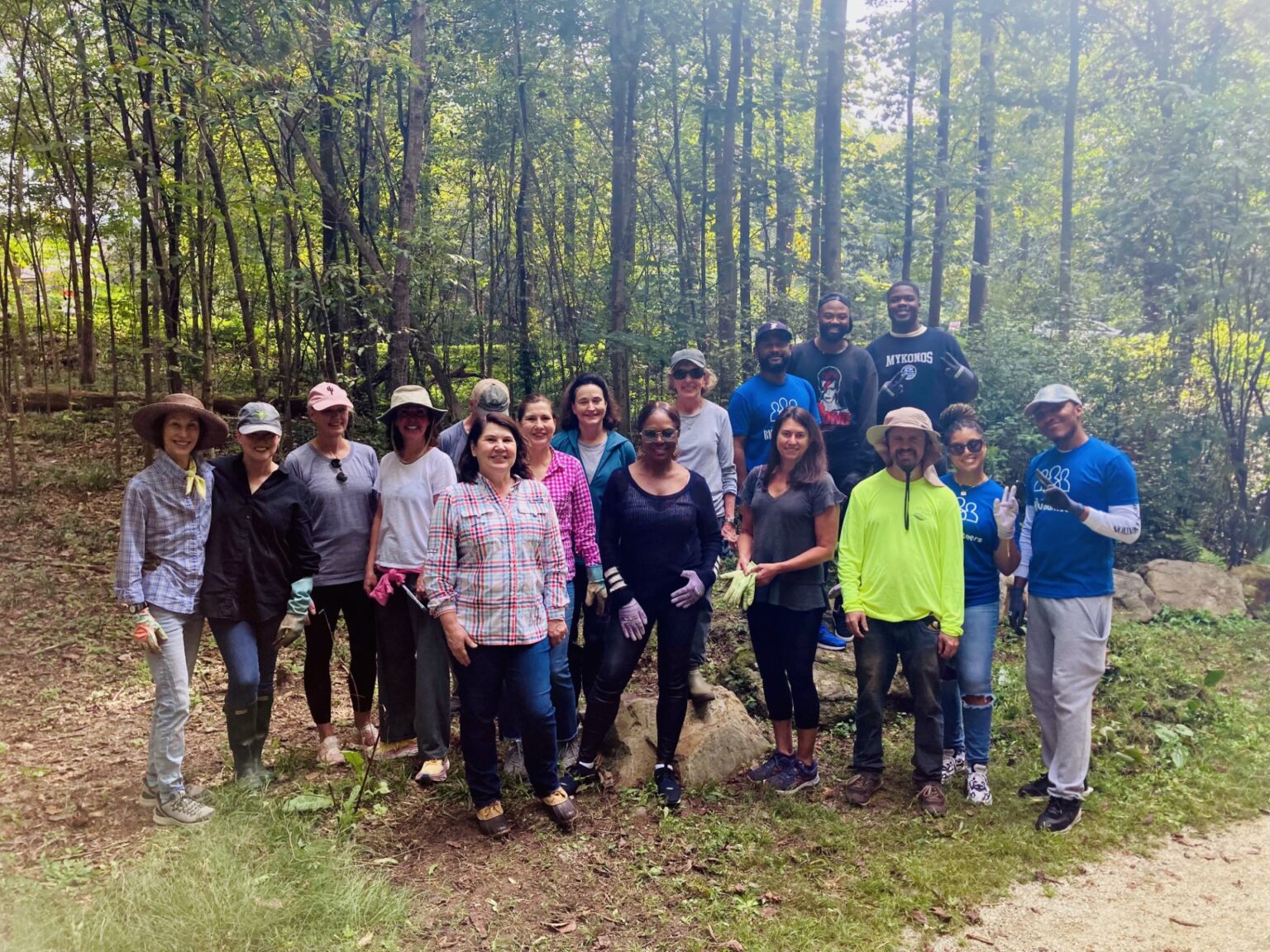 Weed Wrangle in Deepdene Forest - Olmsted Network