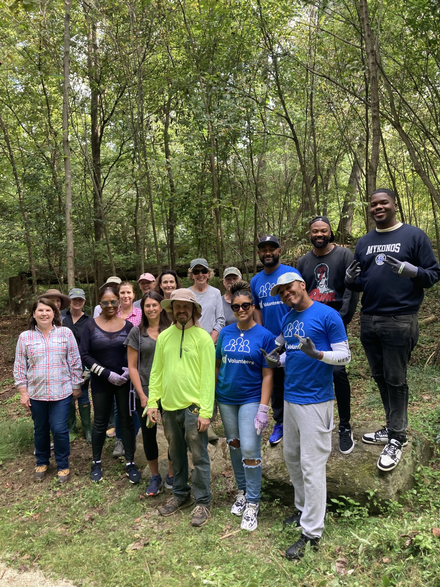 Weed Wrangle in Deepdene Forest - Olmsted Network