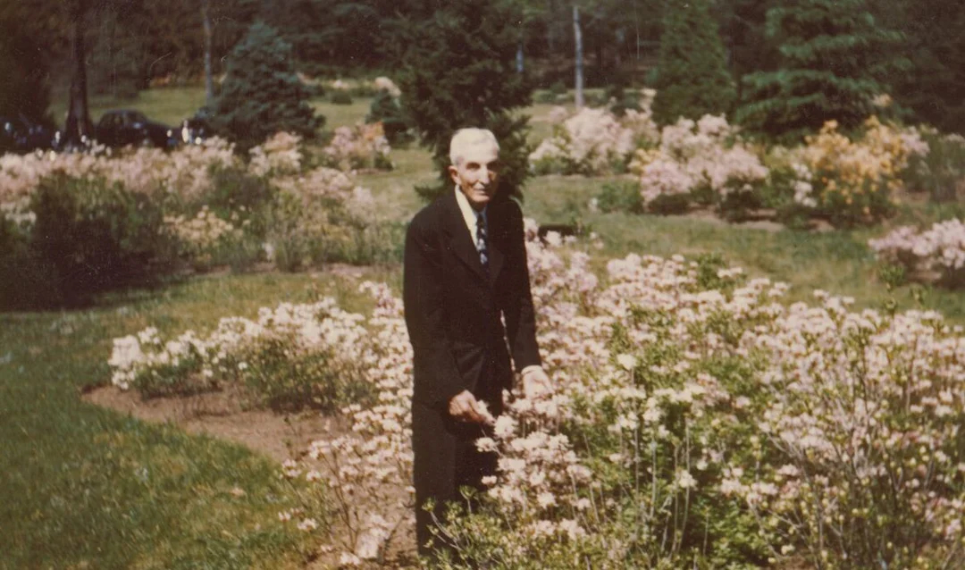 Biltmore’s Azalea Garden: A Tribute to Chauncey Beadle - Olmsted Network