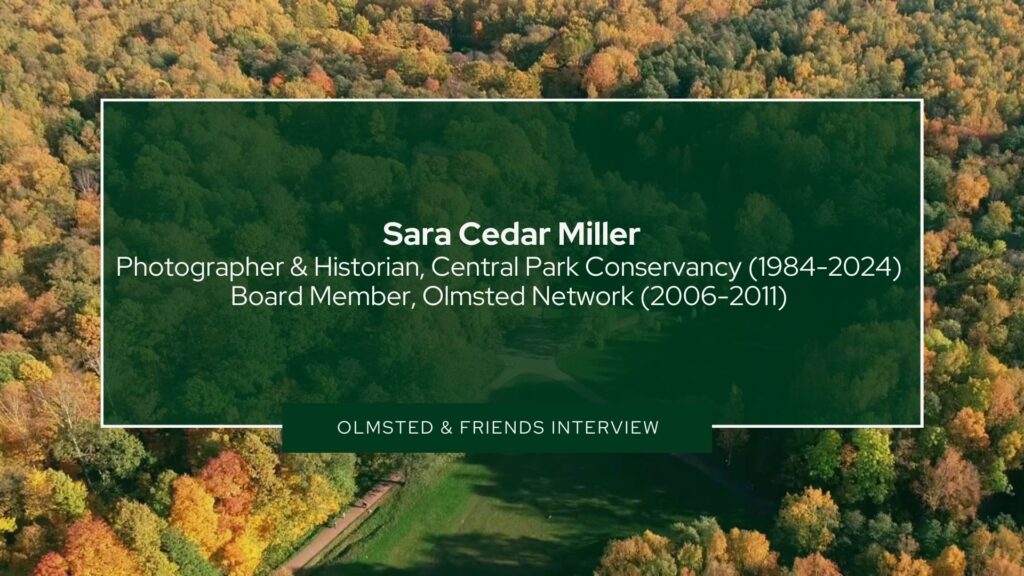 Olmsted and Friends: Meet Sara Cedar Miller