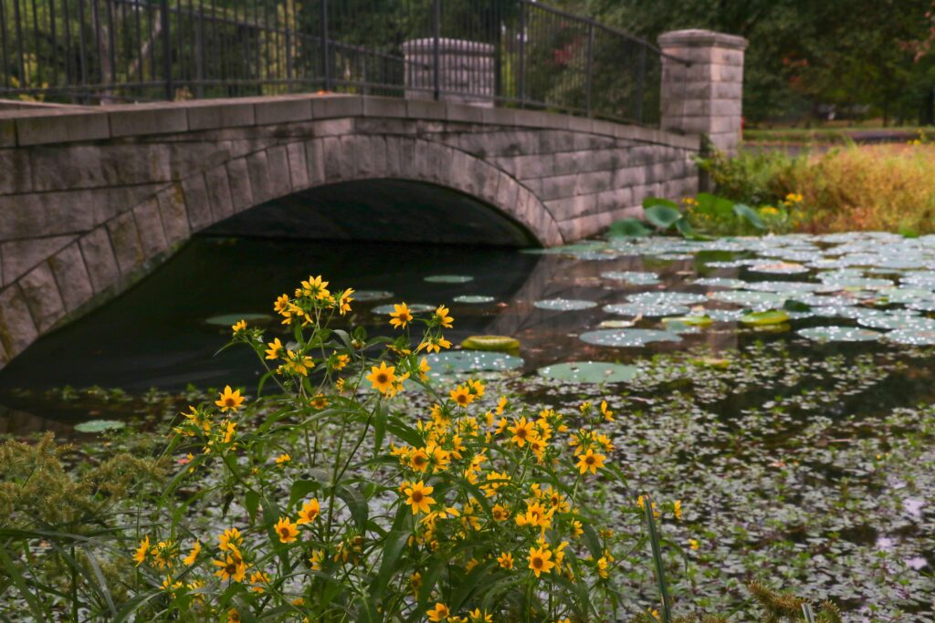 $5 Million Restoration Planned for Chickasaw Park 
