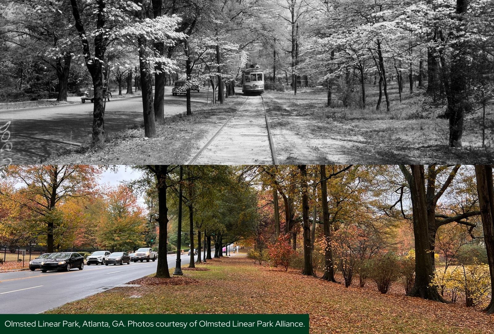 Olmsted Network Begins Strategic Planning