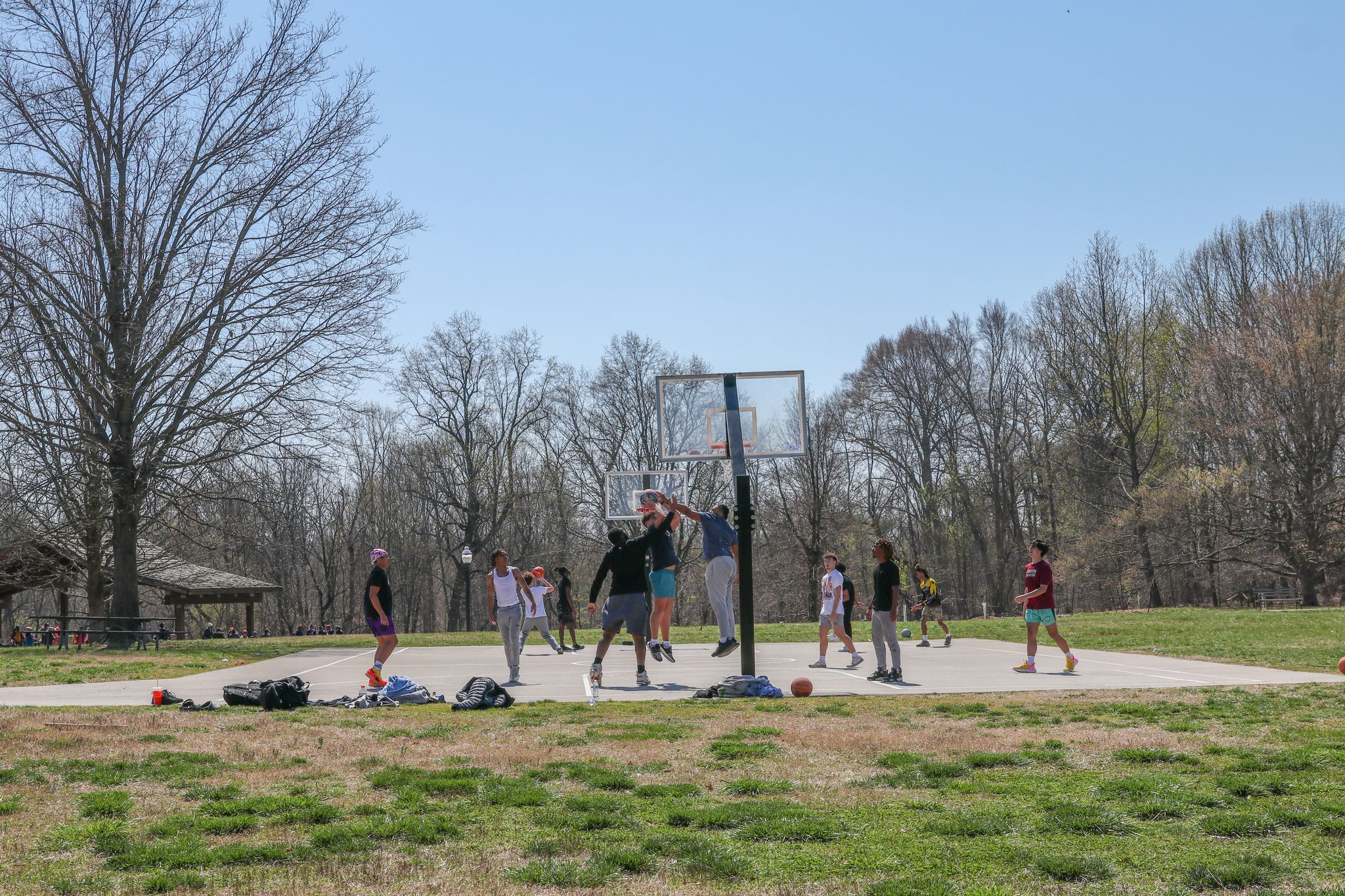 Conversations with Olmsted: Making Room for Recreation